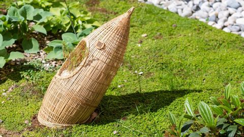 Le festival des jardins du monde en mouvement aura lieu à la cité universitaire de Paris. © Antoine Meyssonnier